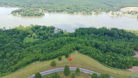 LAND - Cedar Bluff, AL
