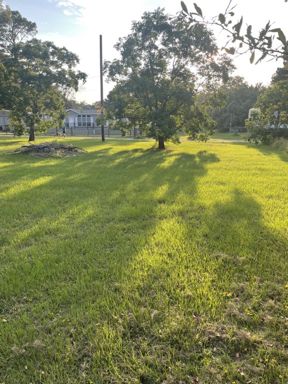 Picture 23