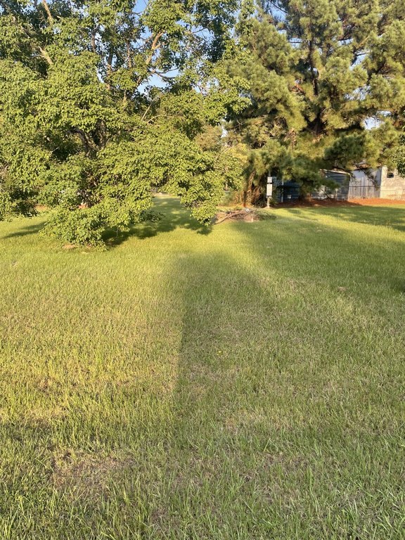 Picture 14