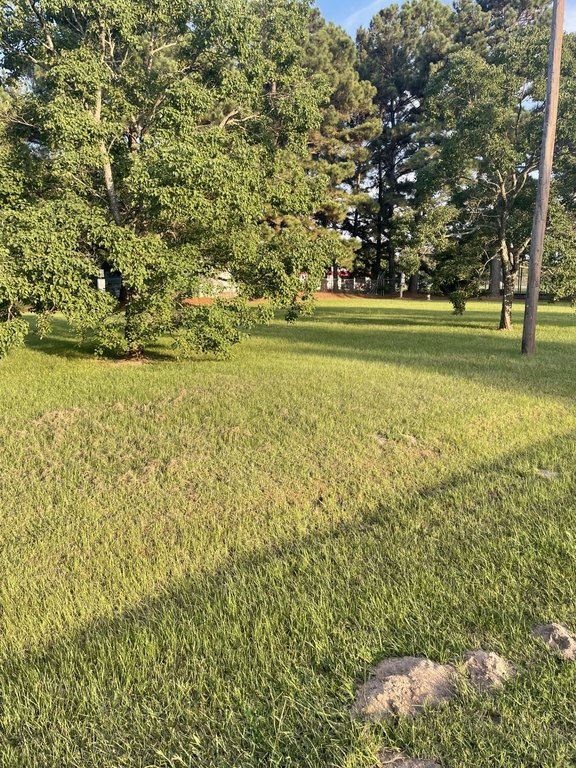 Picture 17