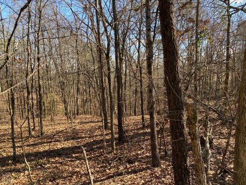 Vacant Land, Harrisburg, AR