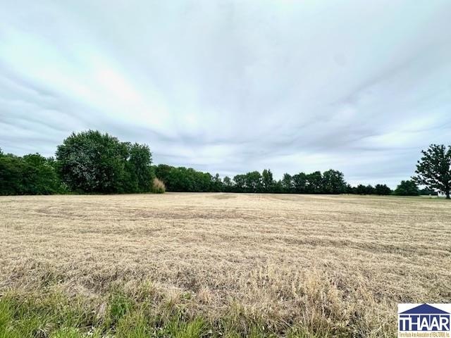 Picture 7