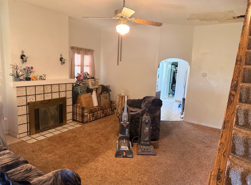 Picture 26