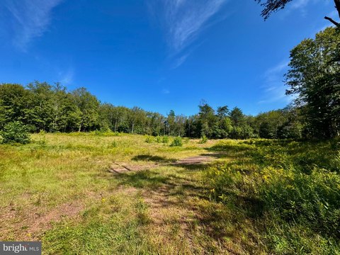 Land, JAMES CREEK, PA