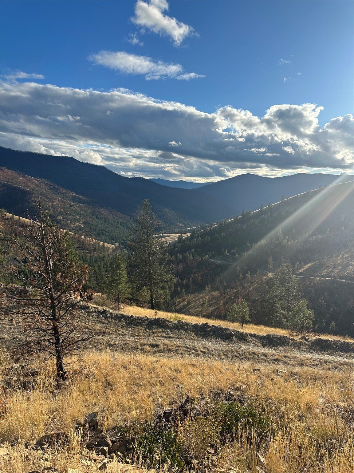 Paradise, Montana Land for Sale