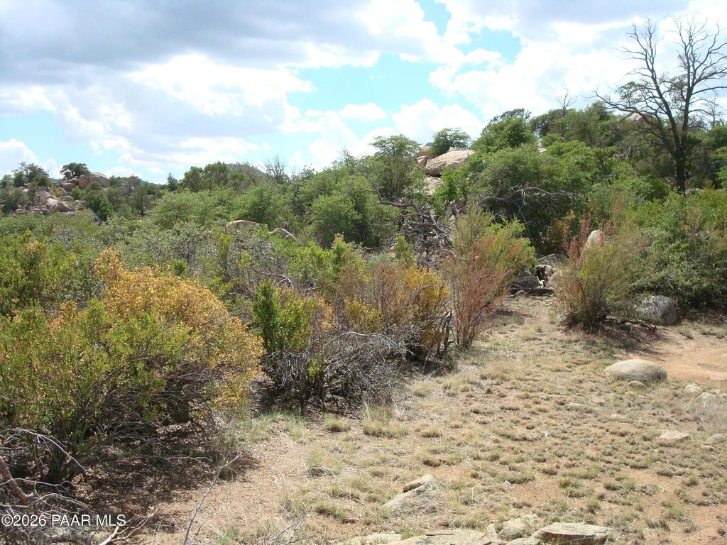 Picture 9