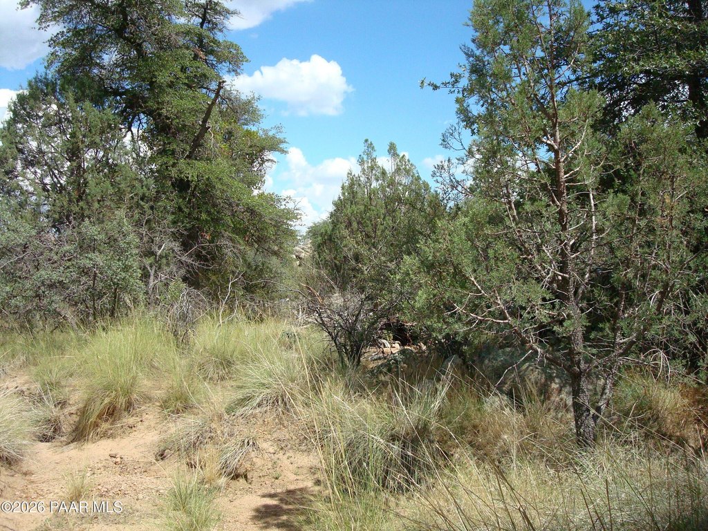 Picture 11