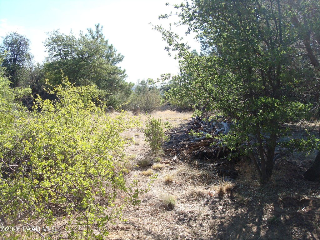 Picture 19