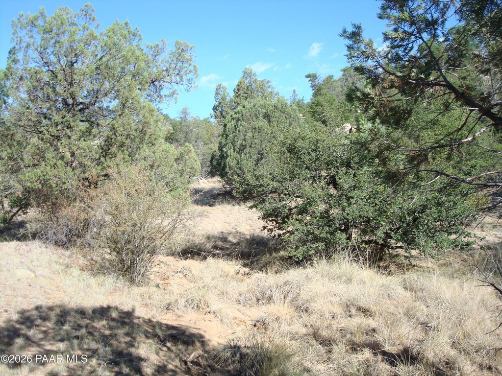 Picture 14