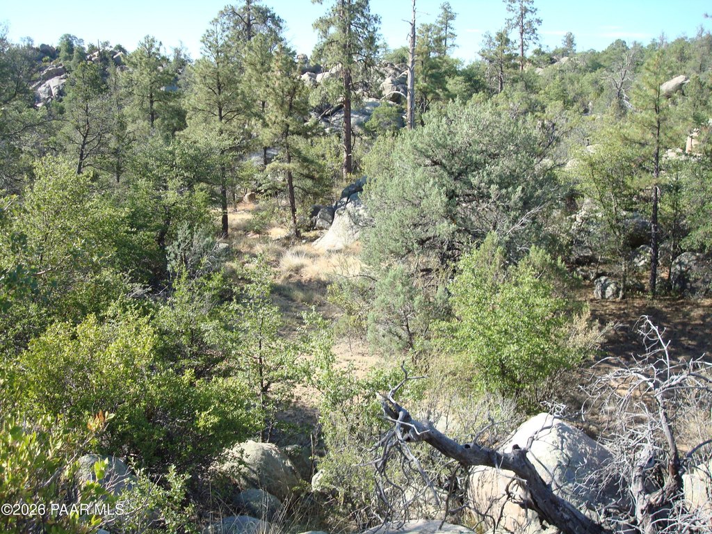 Picture 16