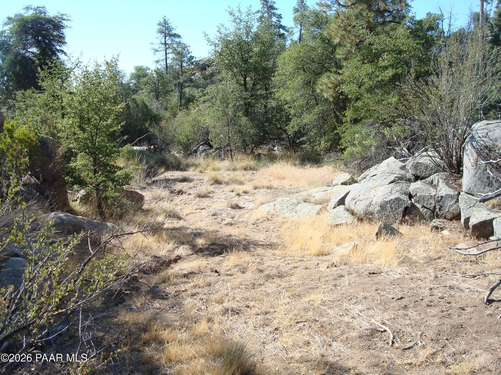 Picture 17
