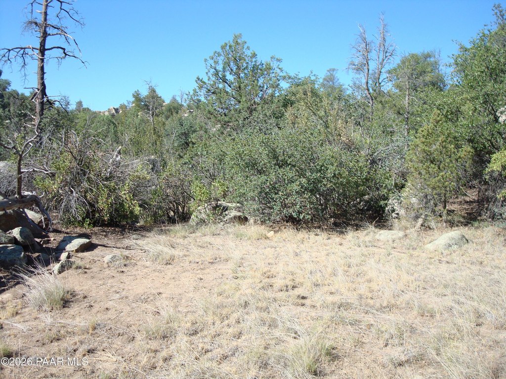 Picture 18