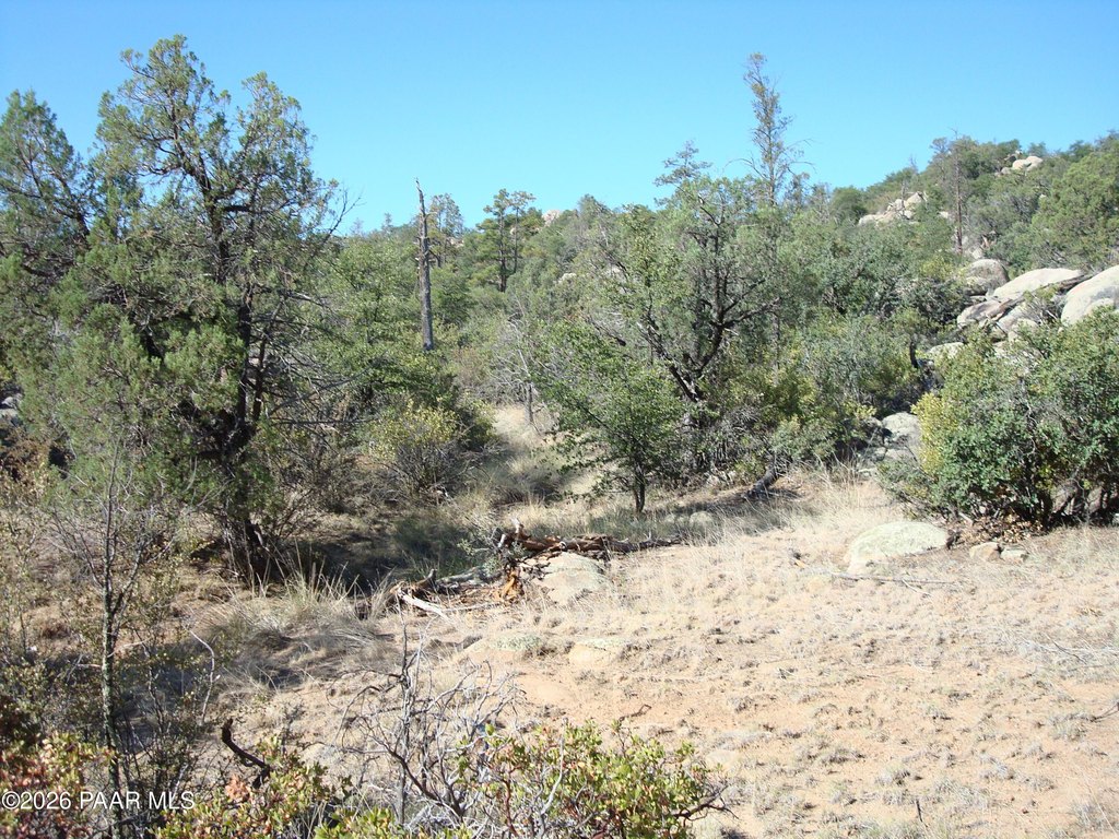 Picture 15