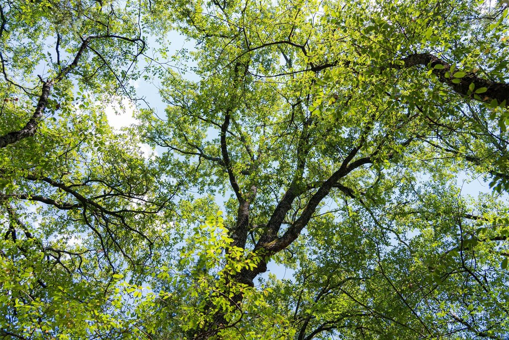 Picture 20
