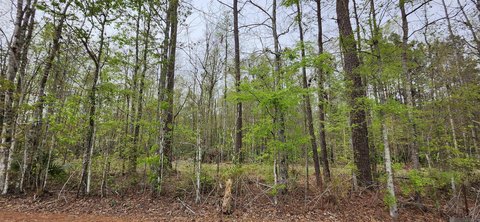 Land, Walker, LA