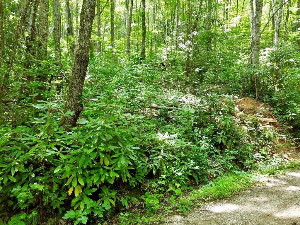 Wooded Acreage Near Bryson City