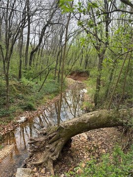 23.37 Acres in Rogers, AR