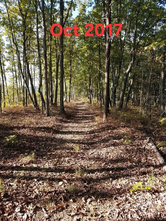 Picture 19
