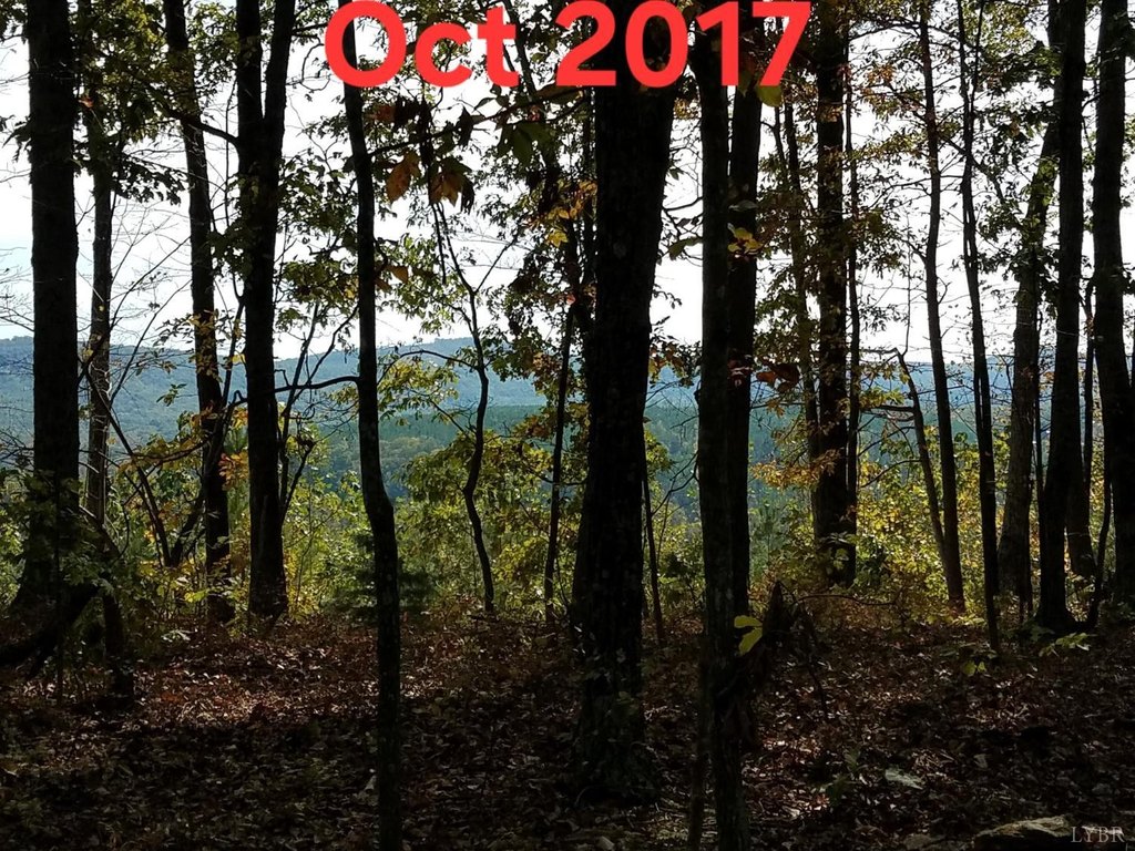 Picture 18