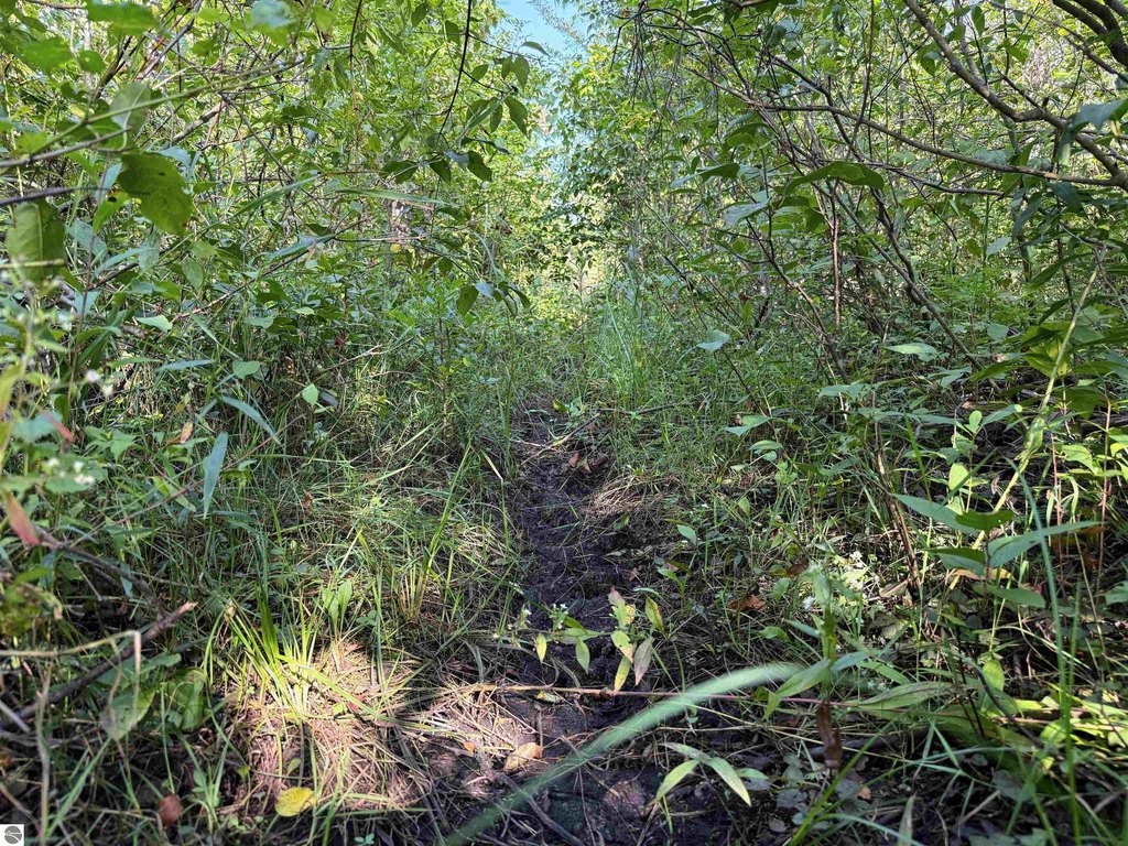 Picture 28