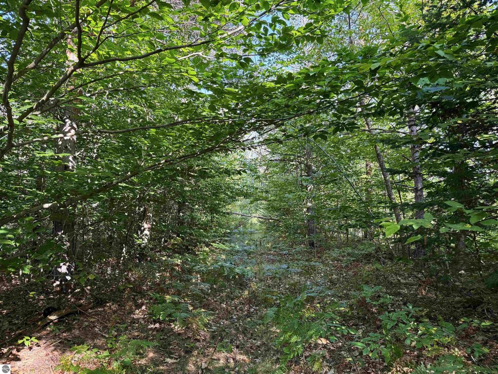 Picture 25