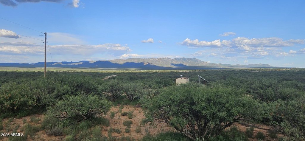 Picture 8