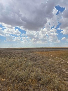Land -40, Amarillo, TX