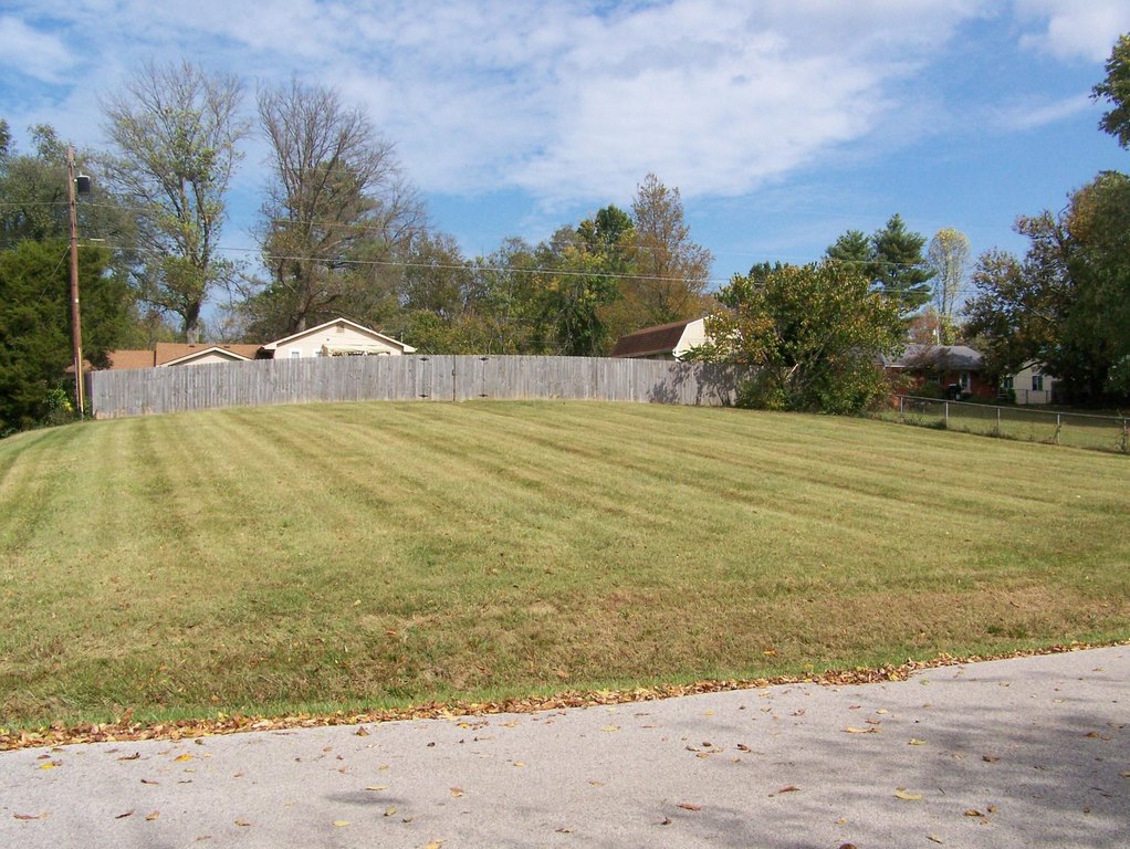 Picture 2