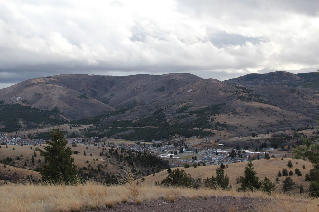 Picture 6