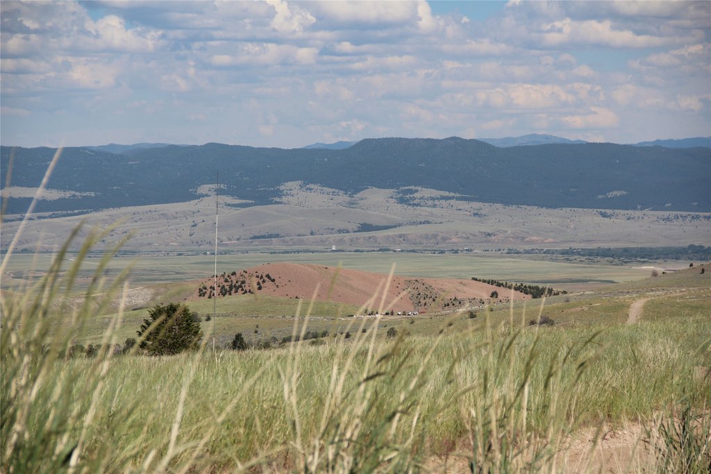 Picture 8
