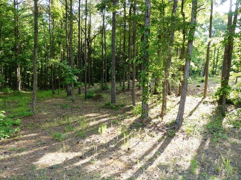Residential Lot Near Lewis Smith