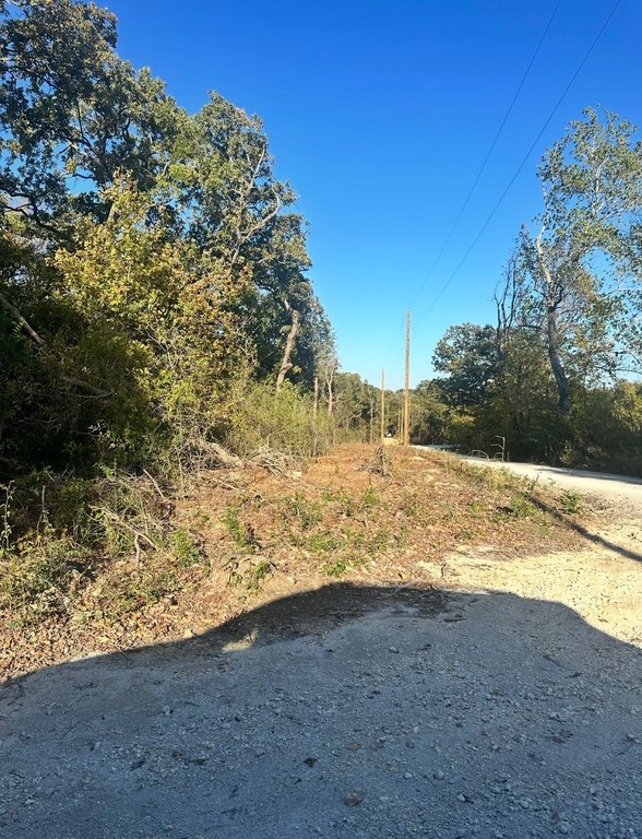Picture 3