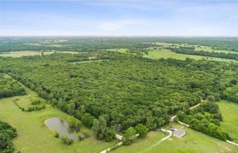 Mature Trees Land Near Hillsboro