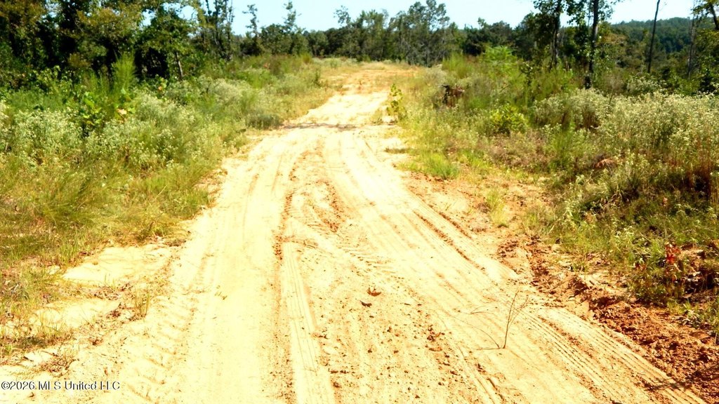 Picture 30