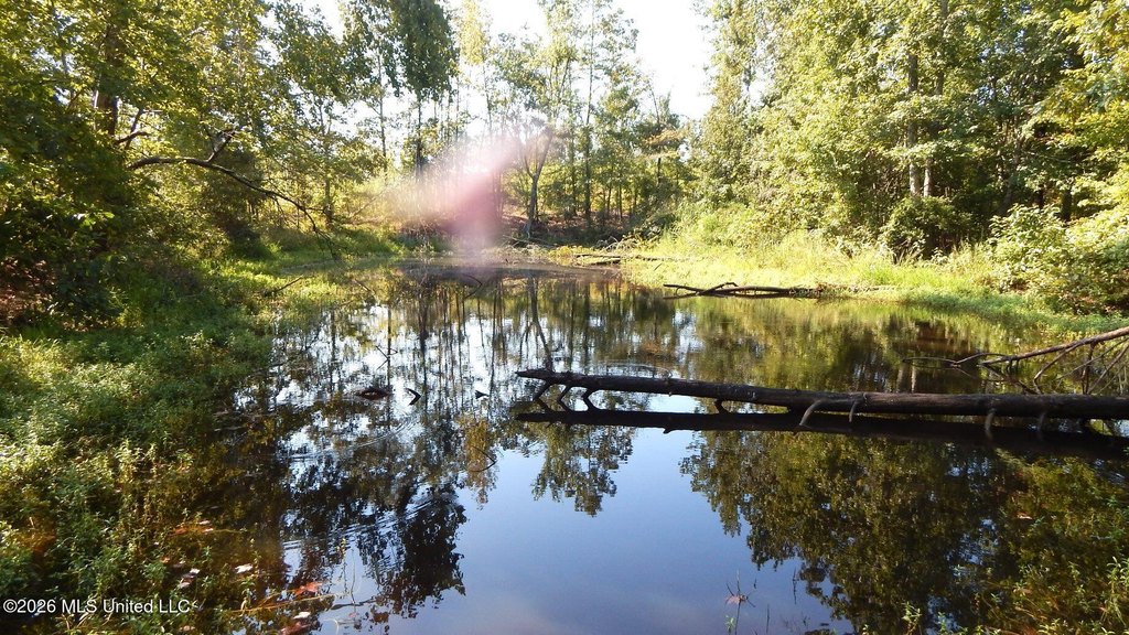 Picture 17