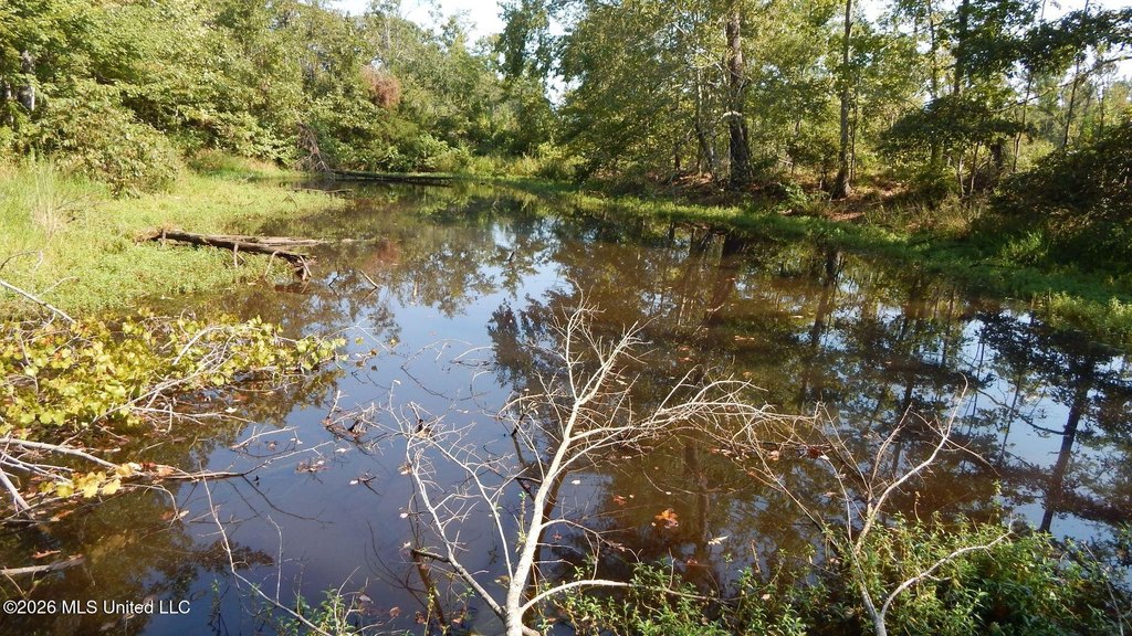 Picture 23