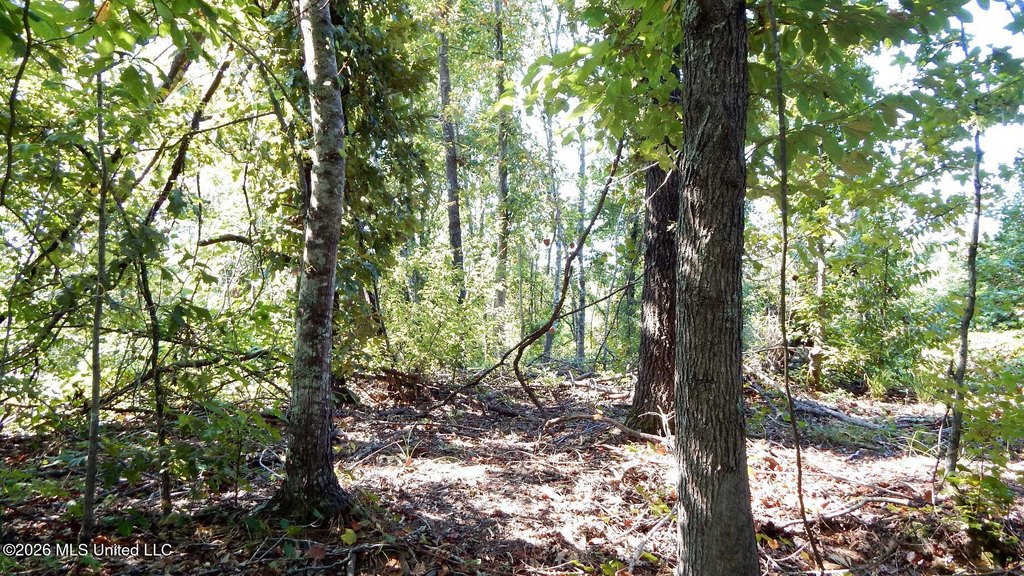 Picture 21
