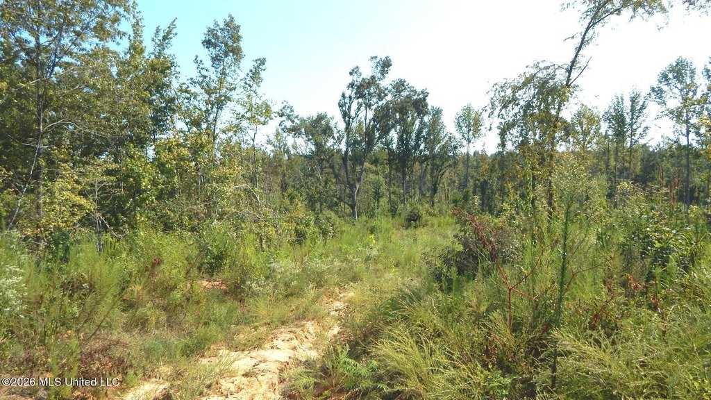 Picture 24