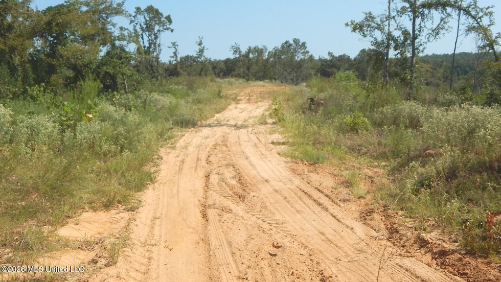 Picture 29
