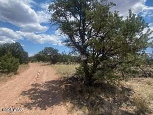 Picture 31