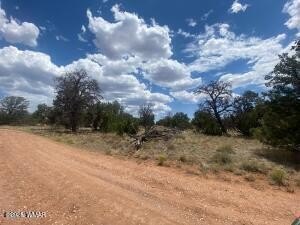 Picture 30