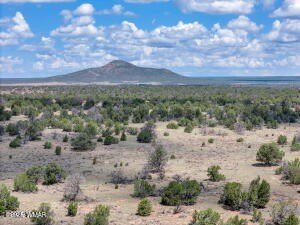 Land, Williams, AZ