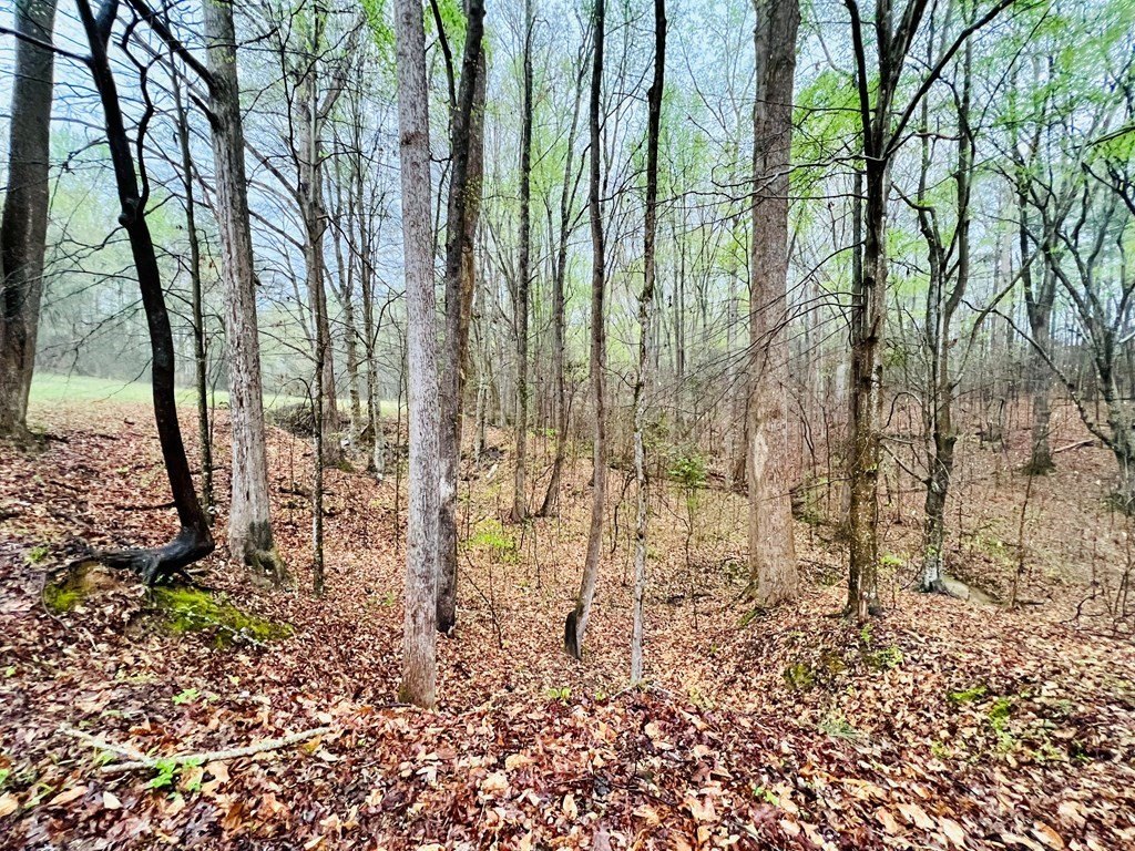 Picture 22