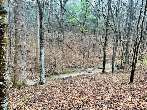 Versatile Acreage Near Abbeville