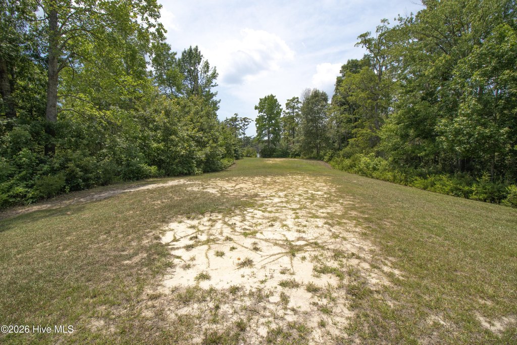 Picture 22