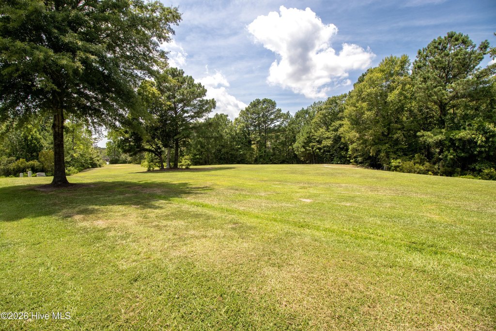 Picture 25