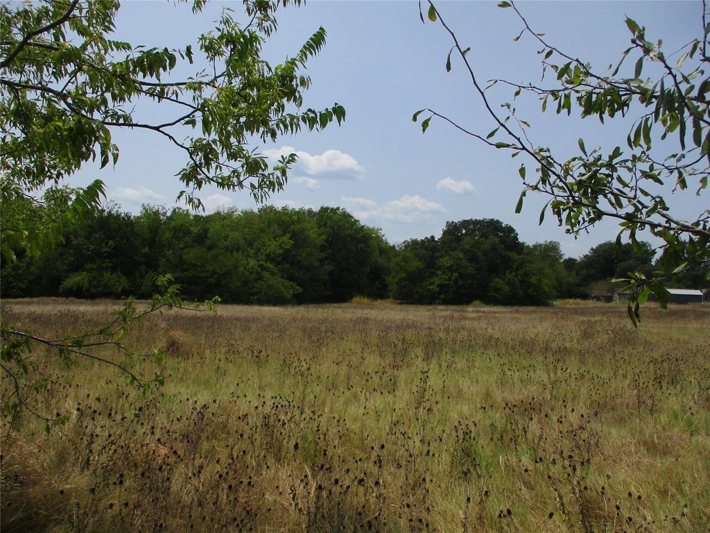 Picture 4