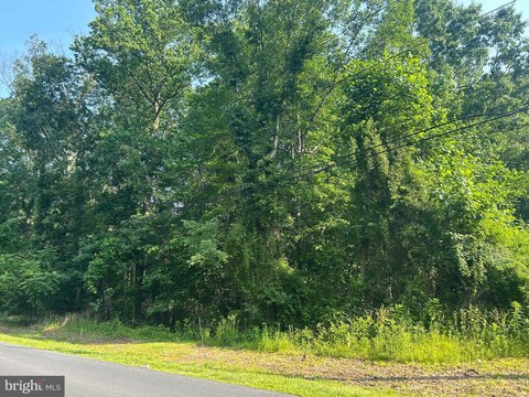 Heavily Wooded Homesite in Townsend