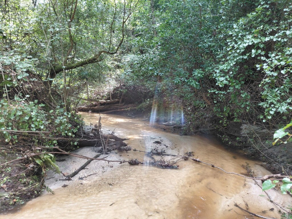 Picture 5