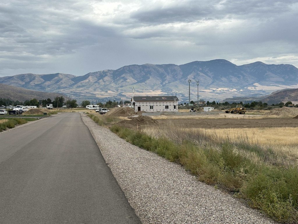 Picture 6